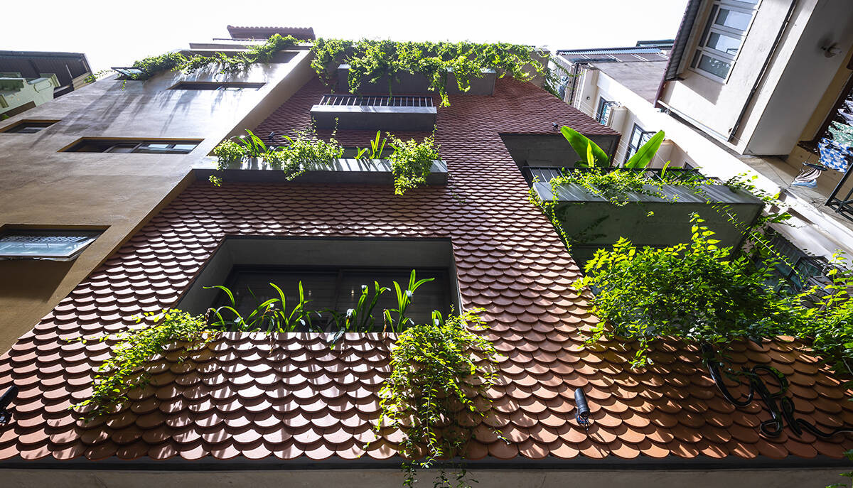  Tòa nhà được phá cách bằng việc sử dụng ngói vảy cá truyền thống tạo lớp vỏ bao che độc đáo và bền vững. Ảnh: Triệu Chiến