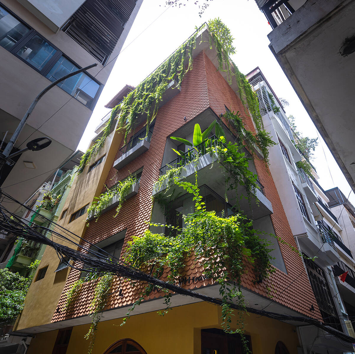 Nằm trên con phố đông đúc Trần Quang Diệu (Đống Đa, Hà Nội), LPH Travel được lên ý tưởng là trụ sở công ty lữ hành mang tính biểu tượng và bản sắc Việt Nam. Ảnh: Triệu Chiến