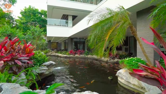 Xung quanh biệt thự bố trí rất nhiều bể cá Koi, trong đó có 1 bể cá Koi lớn ôm quanh nhà. Ảnh chụp màn hình NhaTo