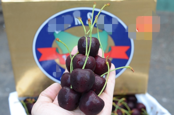 Dù mức giá cao ngất ngưởng nhưng cherry Dcherry Hansen liên tục trong tình trạng “cháy hàng”. Ảnh: Thegioitraicay