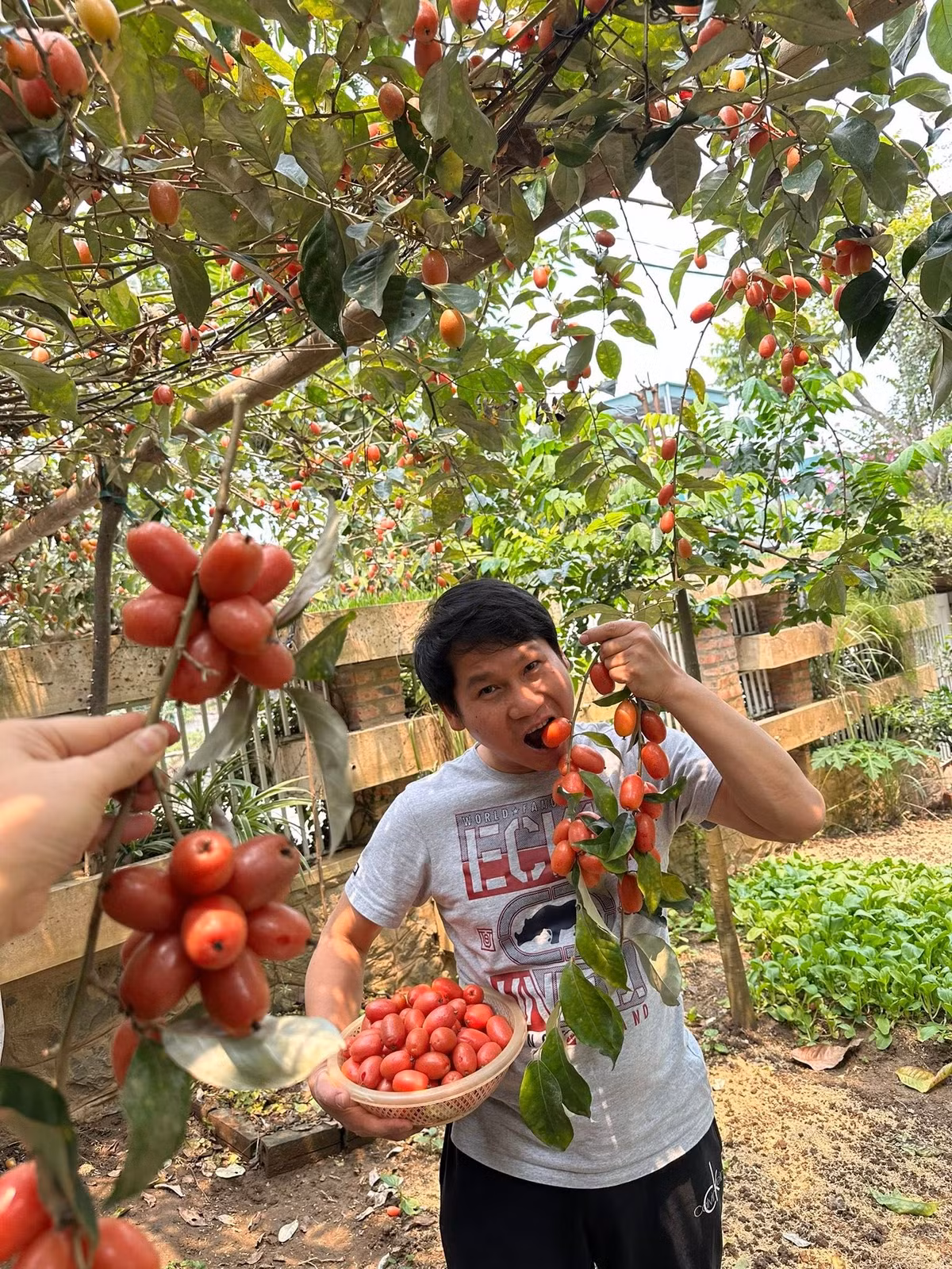 Nhiều bạn bè, khán giả khen nam ca sĩ mát tay trồng cây trong vườn. Ảnh: FB ca sĩ Trọng Tấn