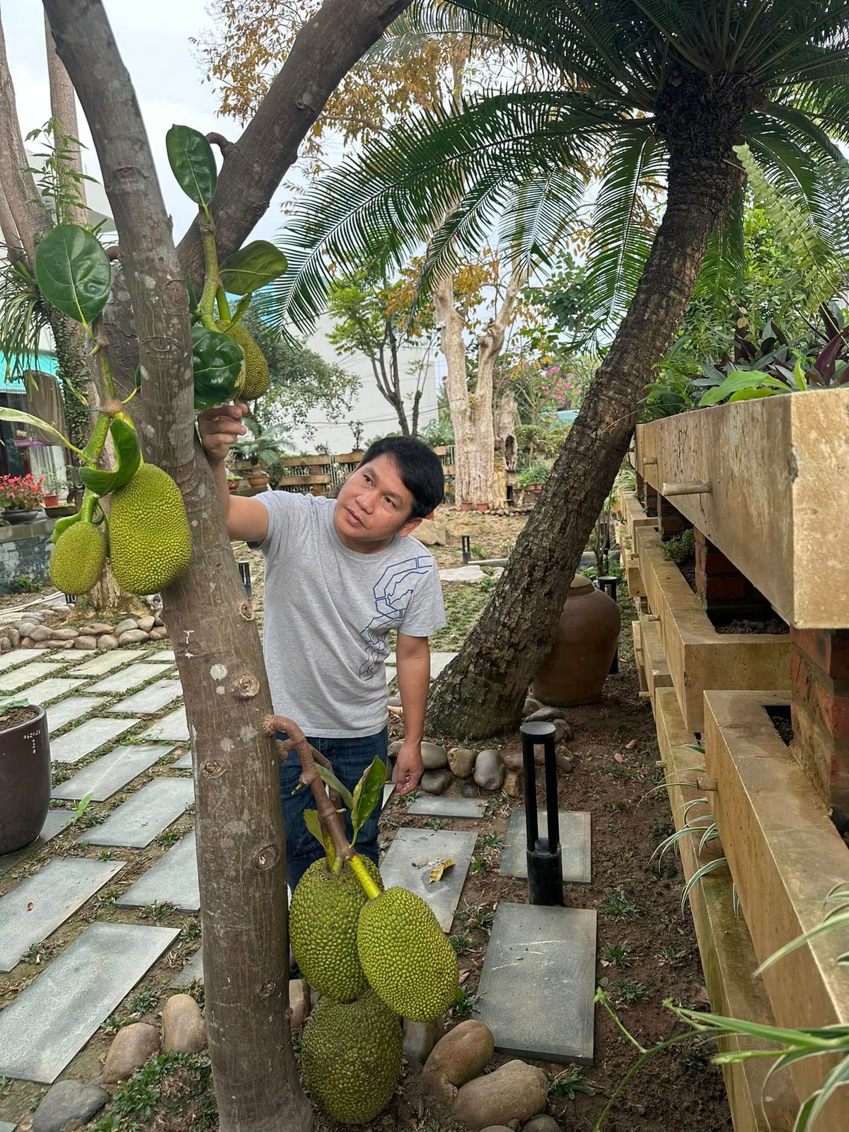 Ngoài ngôi nhà rộng 120m2 giữa trung tâm Hà Nội, ca sĩ Trọng Tấn còn sở hữu căn nhà vườn rộng rãi ở Thanh Hóa. Ảnh: FB ca sĩ Trọng Tấn