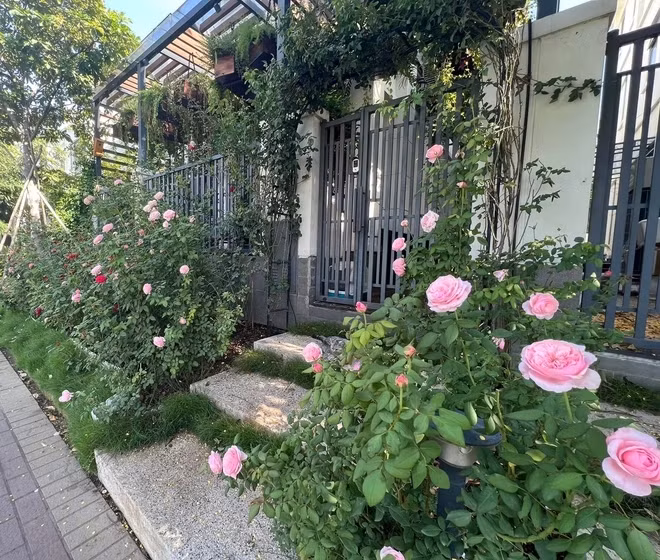 Từng khóm hoa đua nhau khoe sắc khiến cổng vào biệt thự trở nên rực rỡ, giống hết một khu vườn. Ảnh: FB Nguyễn Thanh Vân