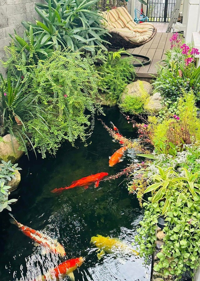 Tại khu vực sân vườn, MC Vân Hugo và ông xã doanh nhân còn thiết kế thêm một hồ cá Koi, tạo thành nơi thư giãn lý tưởng. Ảnh: FB Nguyễn Thanh Vân