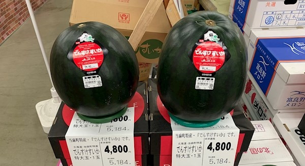 Dưa hấu Densuke thường được sử dụng làm quà tặng, thể hiện sự tôn trọng, lòng biết ơn và mong muốn duy trì các mối quan hệ tốt đẹp. Ảnh: TasteAtlas