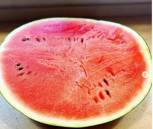 Do điều kiện khí hậu và thổ nhưỡng đặc biệt ưu đãi, chỉ vùng Toma mới cho ra những quả dưa hấu Densuke với chất lượng tuyệt hảo. Ảnh: Odditycentral