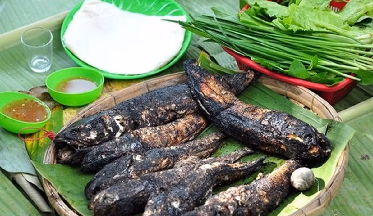 Ở Trung Quốc, giá cá trèo đồi nuôi hơn 100 NDT (326.000 đồng)/kg, cá ngoài tự nhiên có giá lên đến hơn 200 NDT (652.000 đồng)/kg. Ảnh: TrangtraiViet