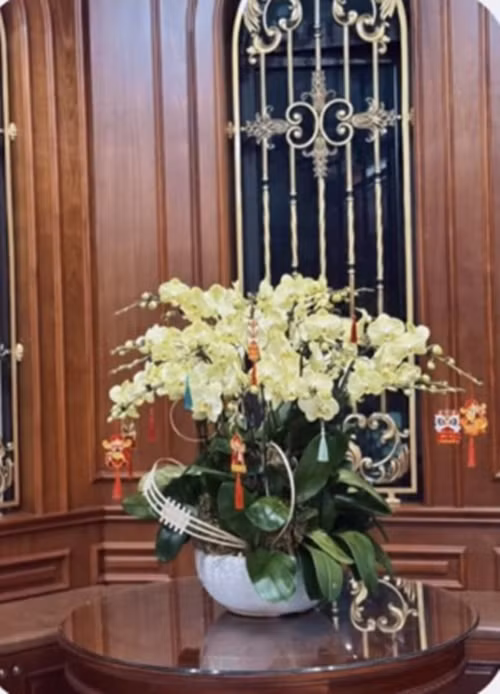 Lan vàng rực rỡ. Ảnh: FB Nguyễn Văn Toàn