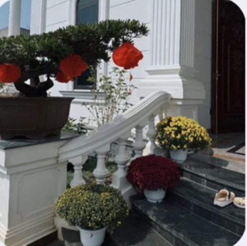 Lối vào nhà tràn ngập các loài hoa quen thuộc ngày tết như đào, cúc, hoa lan...Ảnh: FB Nguyễn Văn Toàn