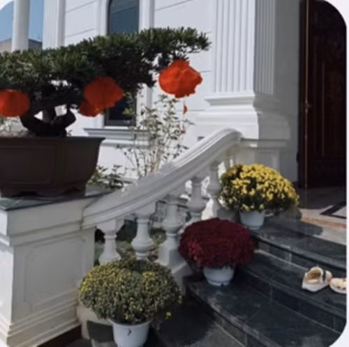 Lối vào nhà tràn ngập các loài hoa quen thuộc ngày tết như đào, cúc, hoa lan...Ảnh: FB Nguyễn Văn Toàn