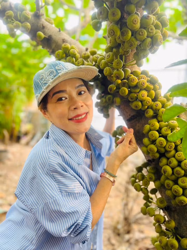 Nữ ca sĩ rạng rỡ bên cây sung chi chít quả. Ảnh: FB Hoàng Thị Mỹ Lệ