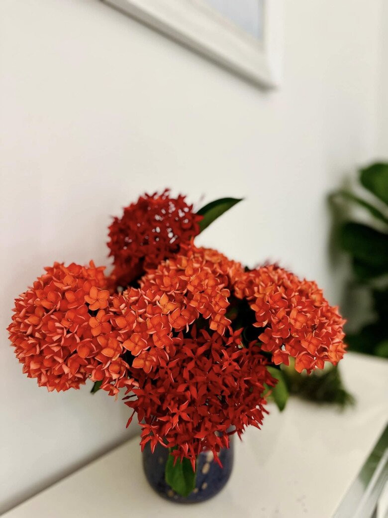 Những bình hoa rực rỡ làm không gian trở nên sống động, đầy sức sống. Ảnh: FB Hoàng Thị Mỹ Lệ