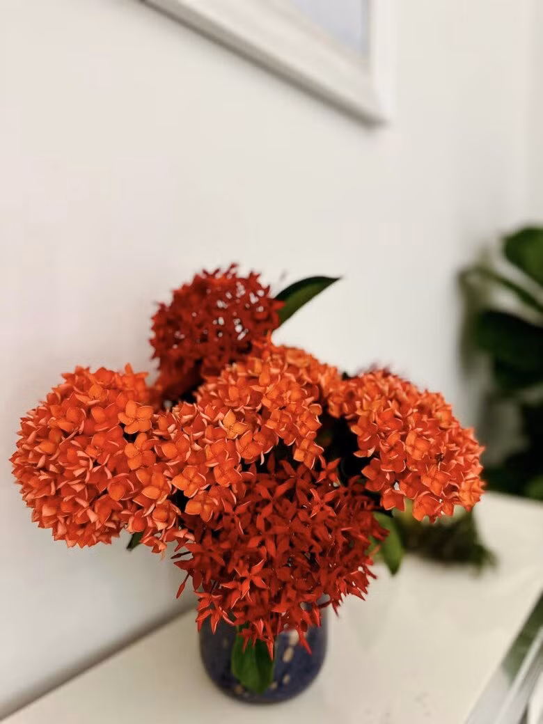 Những bình hoa rực rỡ làm không gian trở nên sống động, đầy sức sống. Ảnh: FB Hoàng Thị Mỹ Lệ