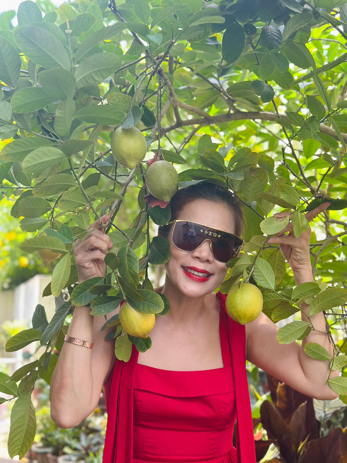 Mới đây, giọng ca 7X cho biết trồng nhiều nhất trong vườn là chanh, không sót loại chanh nào. Ảnh: FB Hoàng Thị Mỹ Lệ