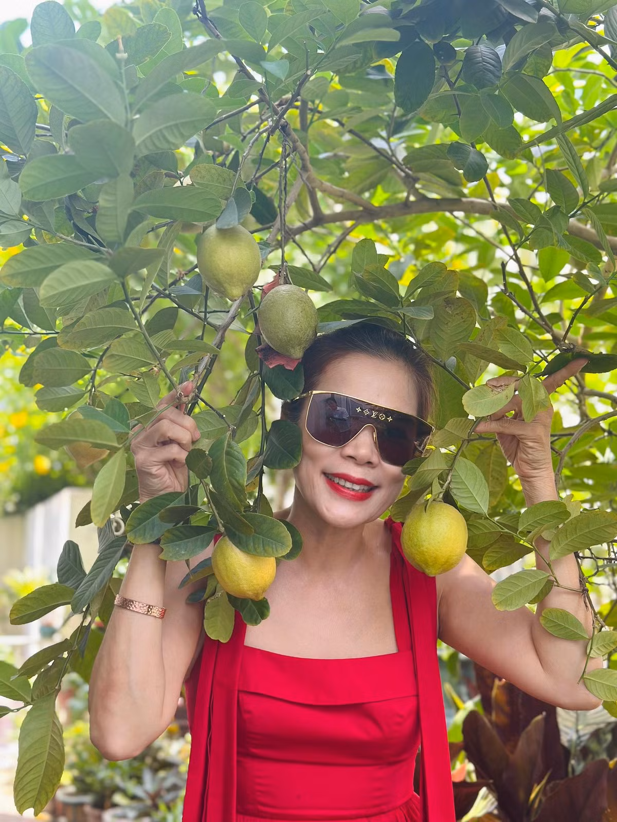 Mới đây, giọng ca 7X cho biết trồng nhiều nhất trong vườn là chanh, không sót loại chanh nào. Ảnh: FB Hoàng Thị Mỹ Lệ