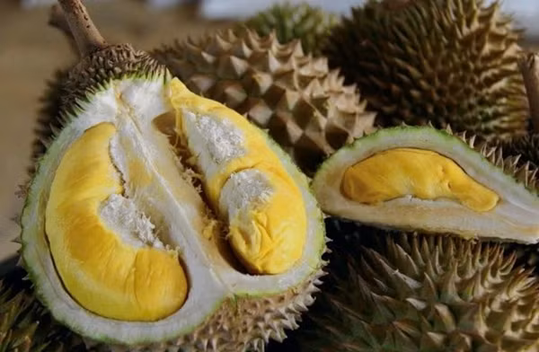 Không phải Musang King hay sầu riêng Monthong, một giống sầu riêng cao cấp khác đang âm thầm vươn lên dẫn đầu tại Malaysia: Tupai King. Ảnh: The Vibes