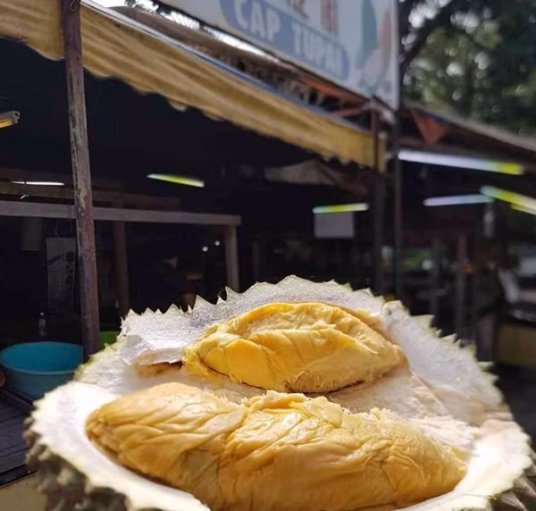 Mùa sầu riêng tại Penang năm nay khởi động muộn hơn thường lệ do ảnh hưởng của thời tiết bất ổn và mưa kéo dài, khiến sản lượng toàn vùng giảm khoảng 30%. Ảnh: Kompasiana