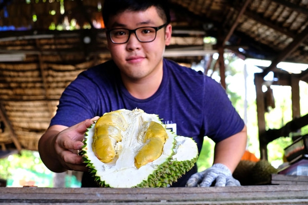 Theo ông Eric Yeap, chủ sở hữu 7 vườn cây ăn trái trải dài hơn 53 ha tại Penang, loại sầu riêng này là “ngôi sao mới” của Malaysia, thu hút khách hàng trong nước và các thị trường sành ăn như Singapore, Trung Quốc, Hong Kong. Ảnh: YearoftheDurian