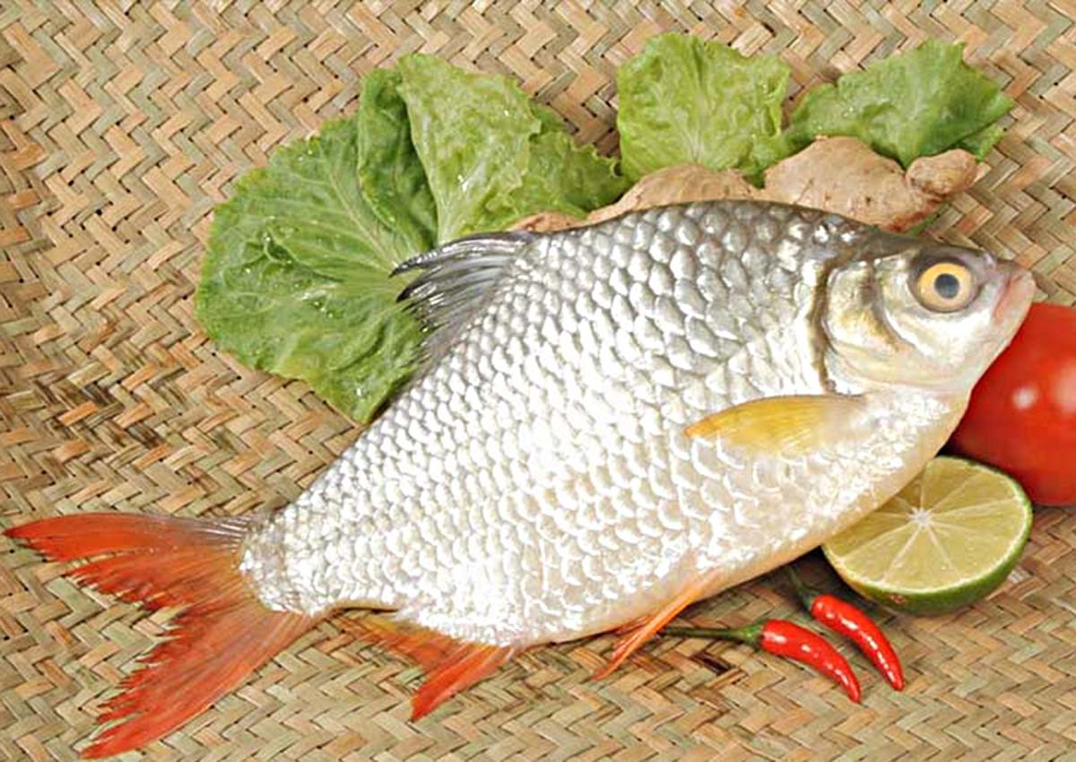 Cá mè vinh mềm ngọt, chứa nhiều protein, Omega-3, vitamin B12, canxi và sắt...các dưỡng chất thiết yếu giúp cải thiện sức khỏe. Ảnh: Facebook