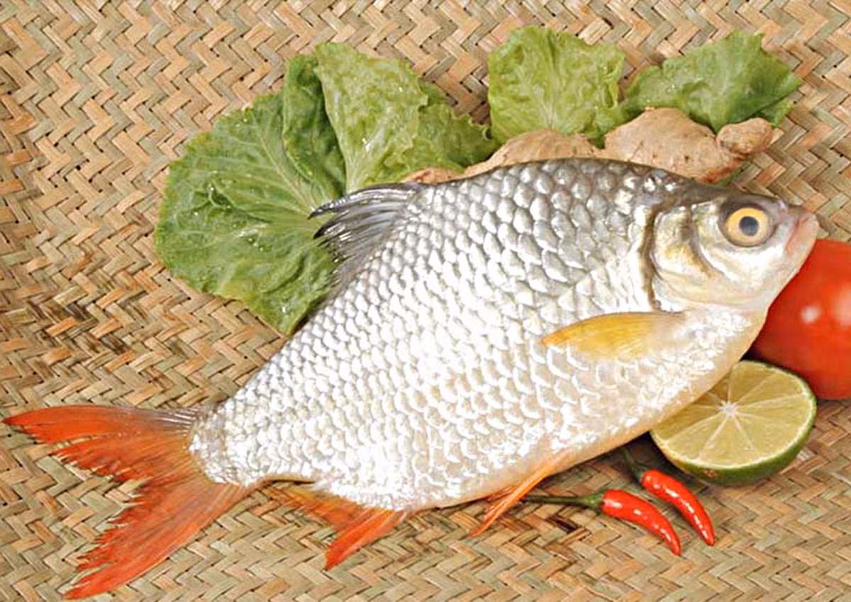 Cá mè vinh mềm ngọt, chứa nhiều protein, Omega-3, vitamin B12, canxi và sắt...các dưỡng chất thiết yếu giúp cải thiện sức khỏe. Ảnh: Facebook