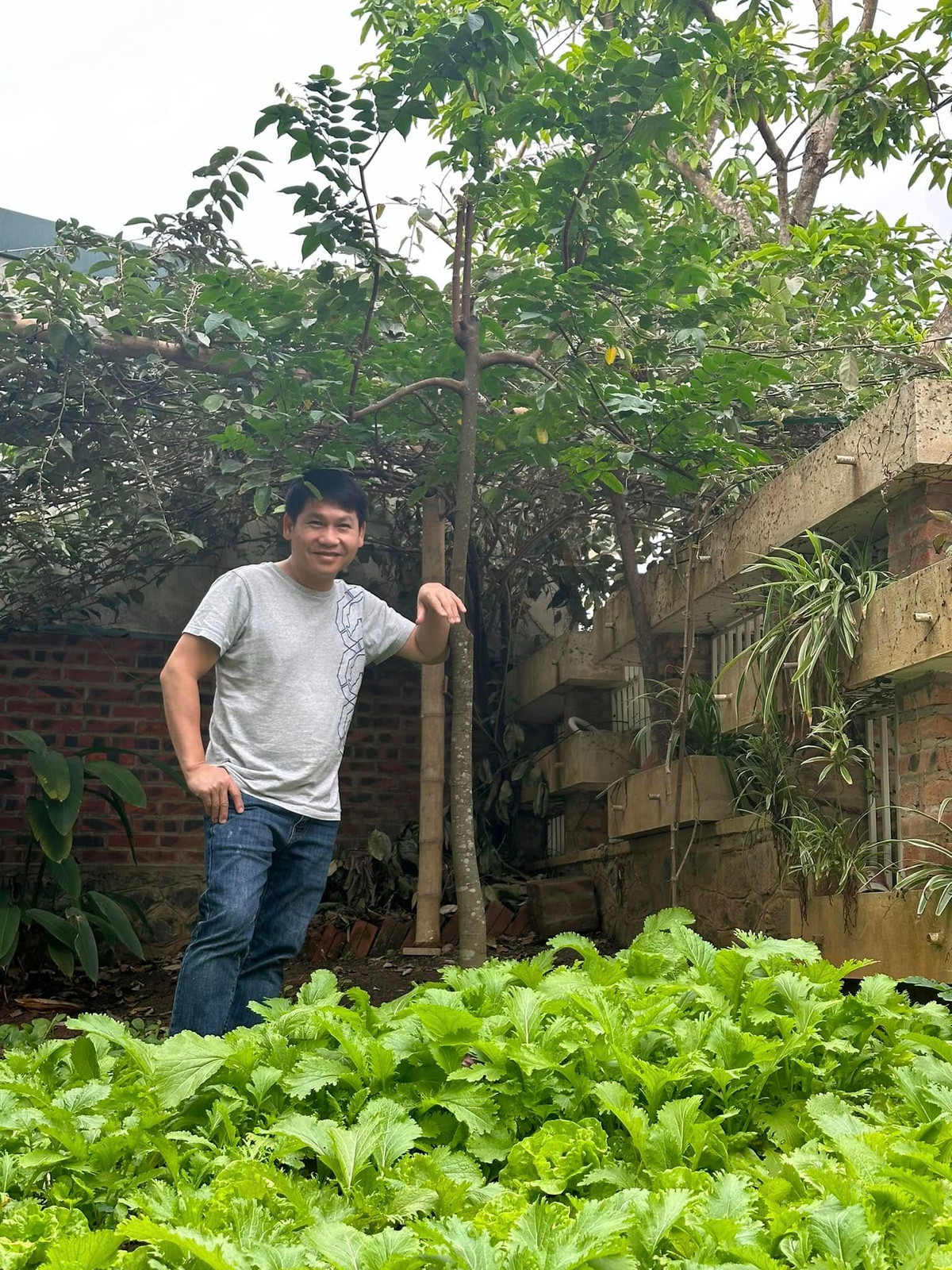 Ngoài cây ăn trái còn có luống rau xanh mướt. Ảnh: FB ca sĩ Trọng Tấn