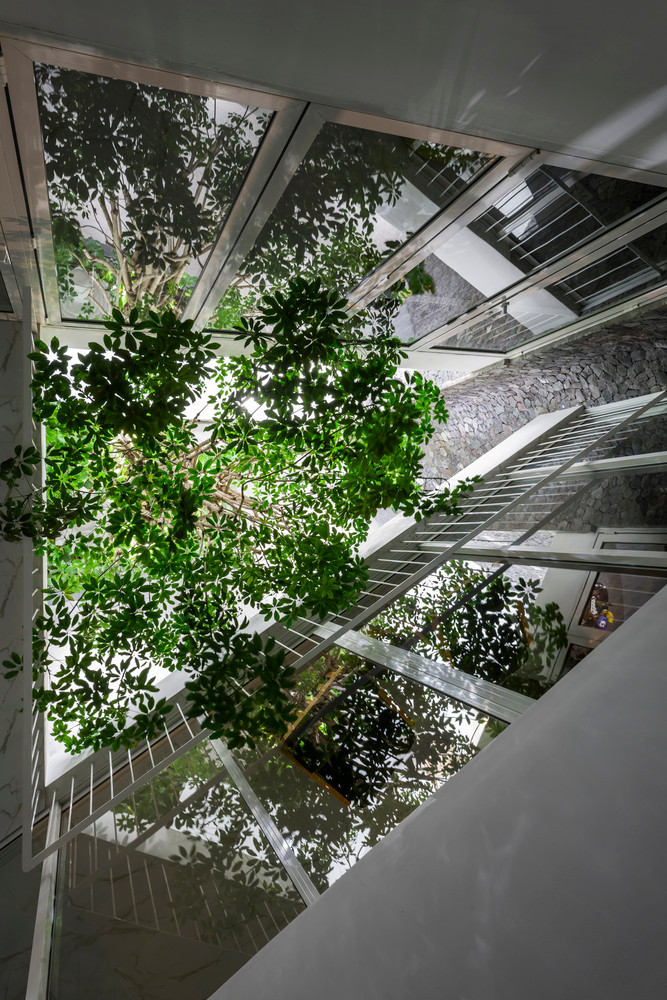 Không gian xanh được chiếu rọi ánh nắng qua giếng trời. Ảnh: Hiroyuki Oki