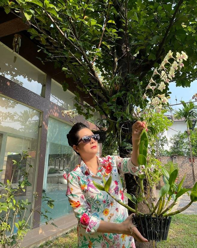 Căn nhà của nghệ sĩ Thanh Thanh Hiền sử dụng vật liệu gỗ và kính chủ đạo. Ảnh: FBNV