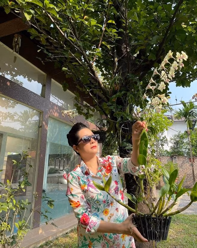 Căn nhà của nghệ sĩ Thanh Thanh Hiền sử dụng vật liệu gỗ và kính chủ đạo. Ảnh: FBNV