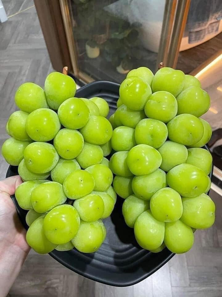 Dù giá nho sữa liên tục lao dốc nhưng không còn dễ bán. Thậm chí, nhiều sản phẩm trồng ở tỉnh Vân Nam và Tứ Xuyên vẫn chưa được tiêu thụ hết. Ảnh: Facebook