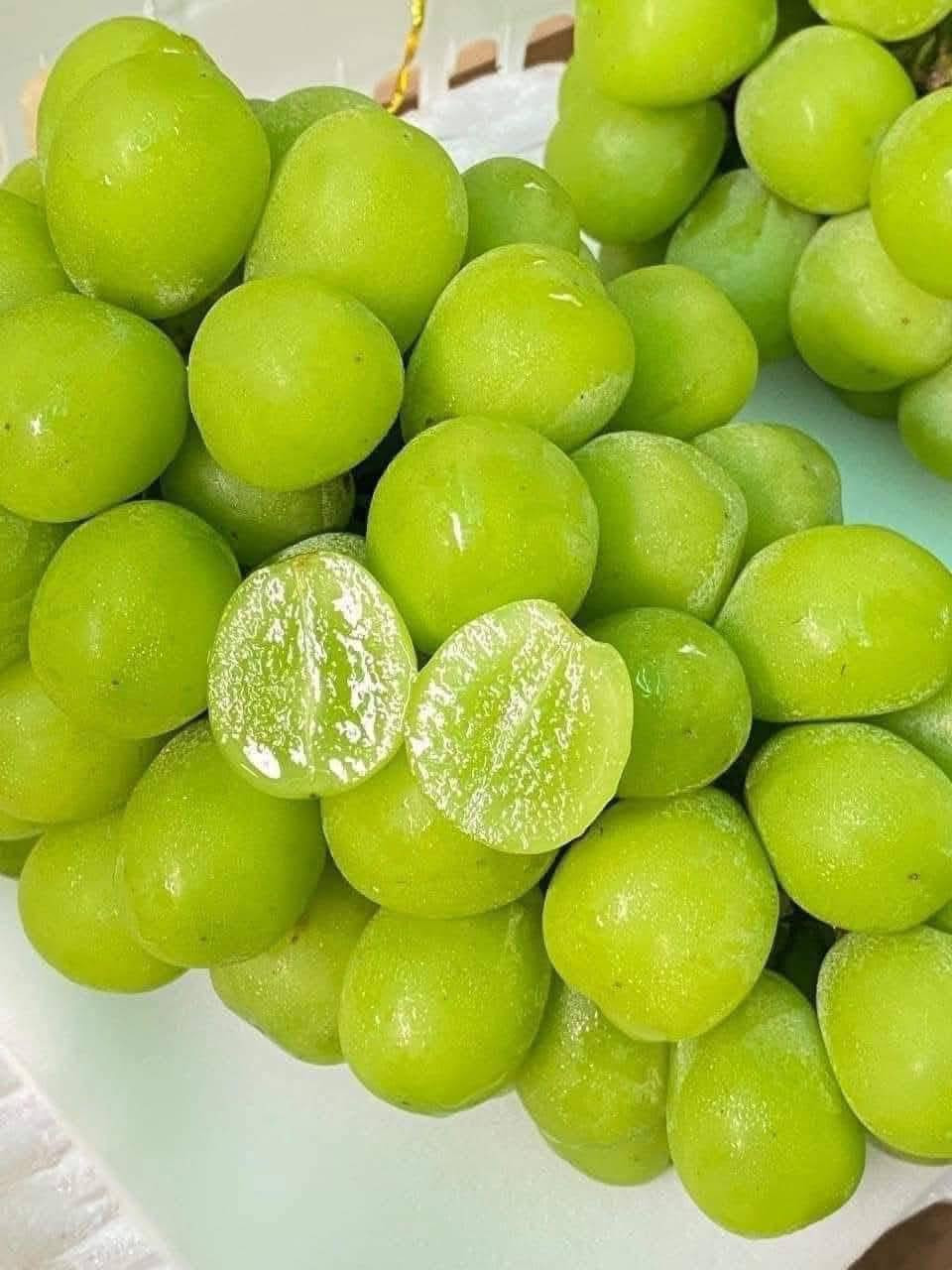 Theo 36KR, nho sữa trồng ở Nhật Bản chủ yếu sử dụng chất hữu cơ có nguồn gốc từ thực vật như mùn cưa, vỏ quả óc chó... Trong khi đó, một số nông dân Trung Quốc sử dụng các loại phân vô cơ như phân lân, phân kali, phân canxi..Ảnh: Facebook