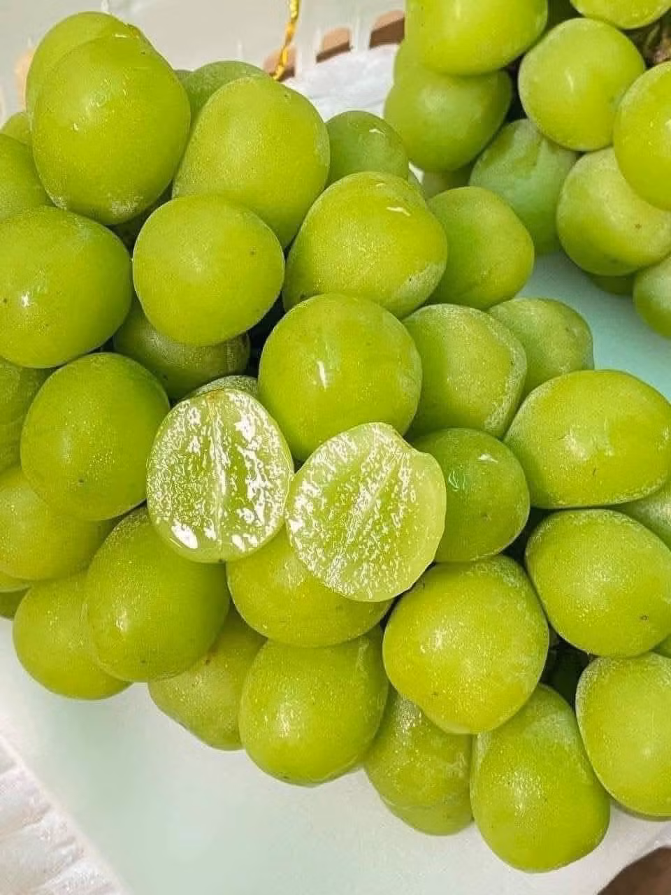 Theo 36KR, nho sữa trồng ở Nhật Bản chủ yếu sử dụng chất hữu cơ có nguồn gốc từ thực vật như mùn cưa, vỏ quả óc chó... Trong khi đó, một số nông dân Trung Quốc sử dụng các loại phân vô cơ như phân lân, phân kali, phân canxi..Ảnh: Facebook