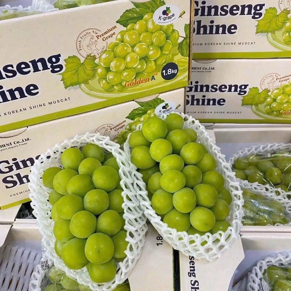 Theo Qinghai News, hồi đầu năm 2023, giá nho sữa ở mức 68 nhân dân tệ/catty, nhưng đến tháng 9/2023, giá chỉ còn 7,98 nhân dân tệ/catty, tương đương 28.000 đồng/500gram. Thậm chí, giá bán buôn chỉ từ 4 nhân dân tệ/catty, tức khoảng 14.000 đồng/500gram. Ảnh: Facebook