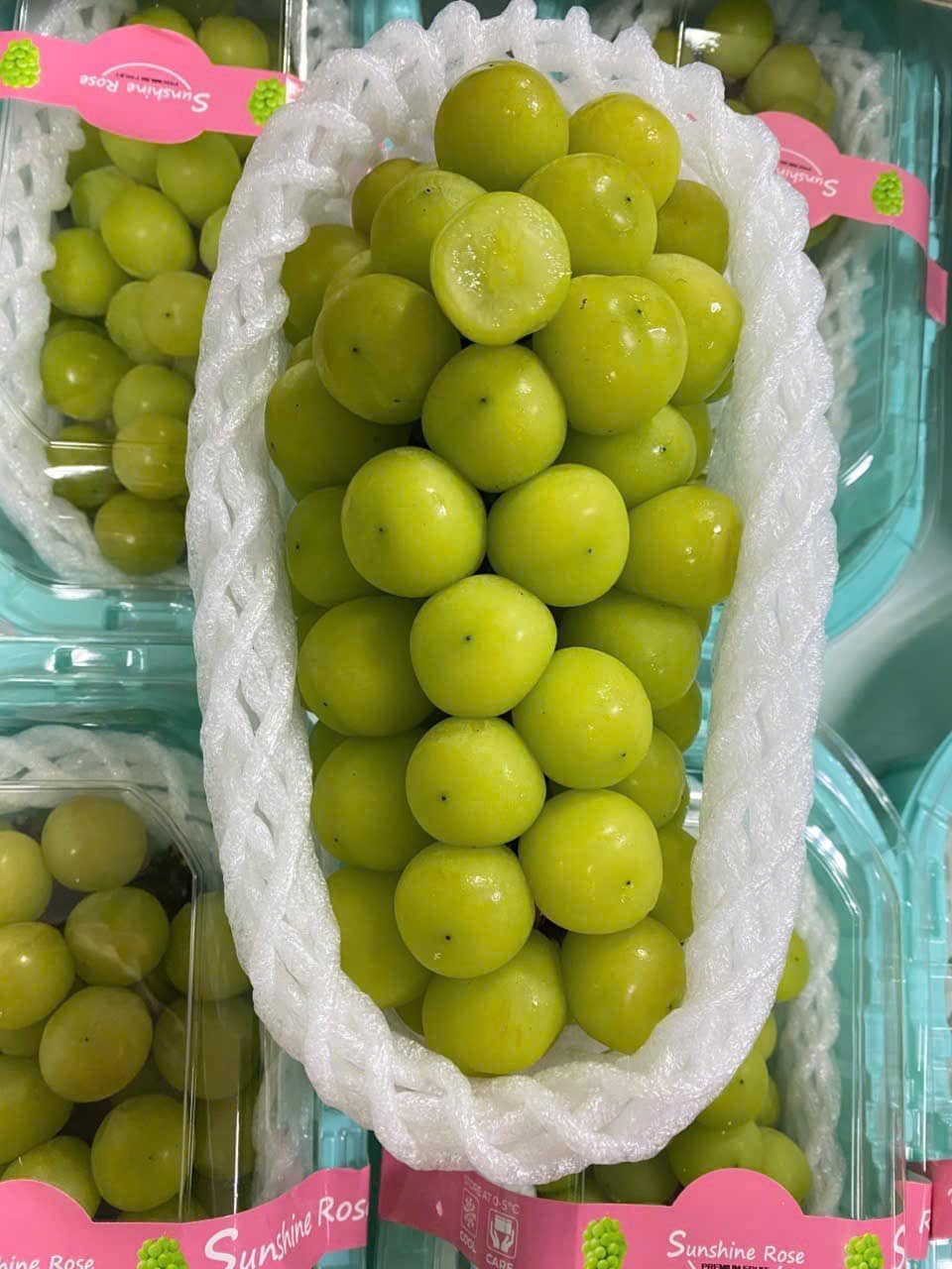 Theo các chuyên gia, việc mở rộng diện tích ồ ạt là nguyên nhân chính khiến giá nho sữa giảm mạnh. Từ một loại quả cao cấp và hiếm có ở Nhật Bản, nho sữa được "sản xuất hàng loạt" tại Trung Quốc và thu hoạch quanh năm. Ảnh: Facebook