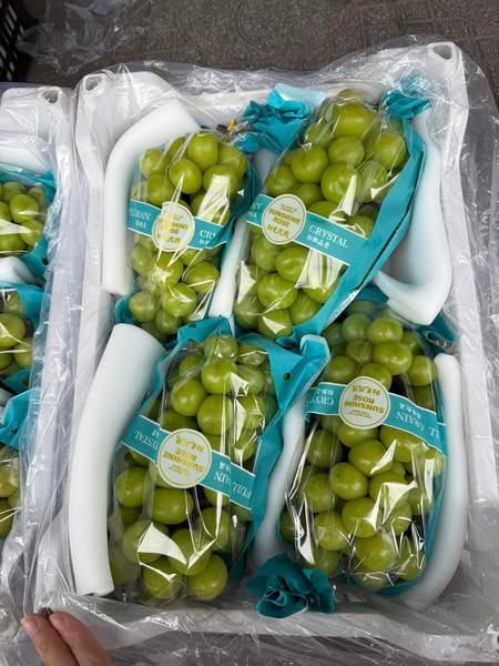 Giá sỉ lao dốc kéo theo giá nho sữa bán lẻ trên thị trường cũng giảm mạnh, còn 30.000-60.000 đồng/kg (tùy loại), rẻ hơn nhiều so với nho Việt Nam. Ảnh: FB Hạnh bui