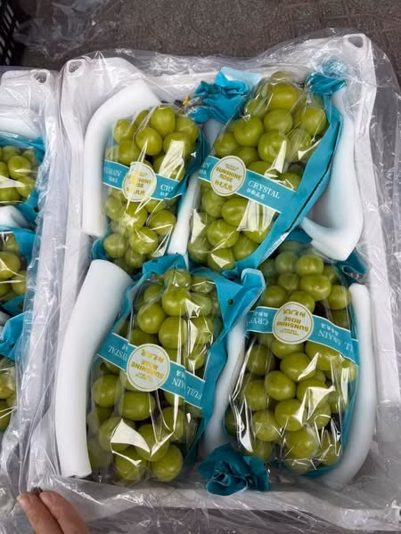 Giá sỉ lao dốc kéo theo giá nho sữa bán lẻ trên thị trường cũng giảm mạnh, còn 30.000-60.000 đồng/kg (tùy loại), rẻ hơn nhiều so với nho Việt Nam. Ảnh: FB Hạnh bui