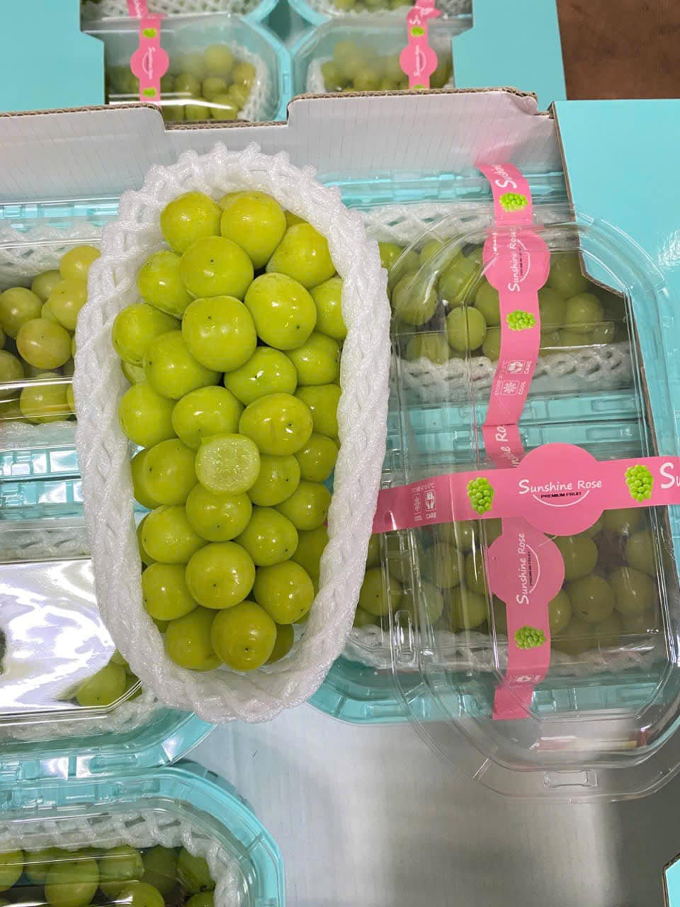 Năng suất phù hợp trên mỗi mẫu nho (tương đương 666,6m2) sẽ đạt khoảng 4 tấn. Tuy nhiên, không ít nông dân đã tăng năng suất lên 7-8 tấn, thậm chí hàng chục tấn trên mỗi mẫu nho khiến chất lượng nho giảm. Ảnh: Facebook