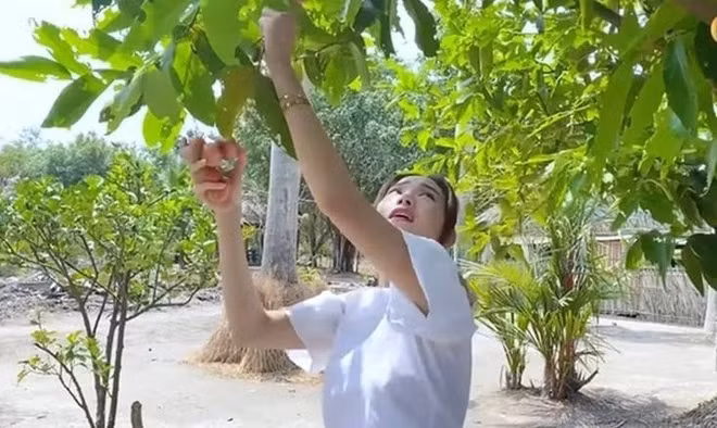 Nhà vườn 20.000m2 của Minh Hằng là nơi cô dùng để nuôi gà, trồng cây ăn trái và thỉnh thoảng đến nghỉ dưỡng. Ảnh: chụp màn hình