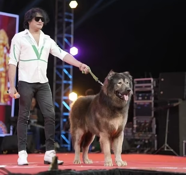 Theo tờ Daily Mail, chú chó đắt nhất thế giới đã được mua với mức giá ngất ngưởng 4,4 triệu bảng Anh (tương đương khoảng 136 tỷ đồng). Ảnh: DM