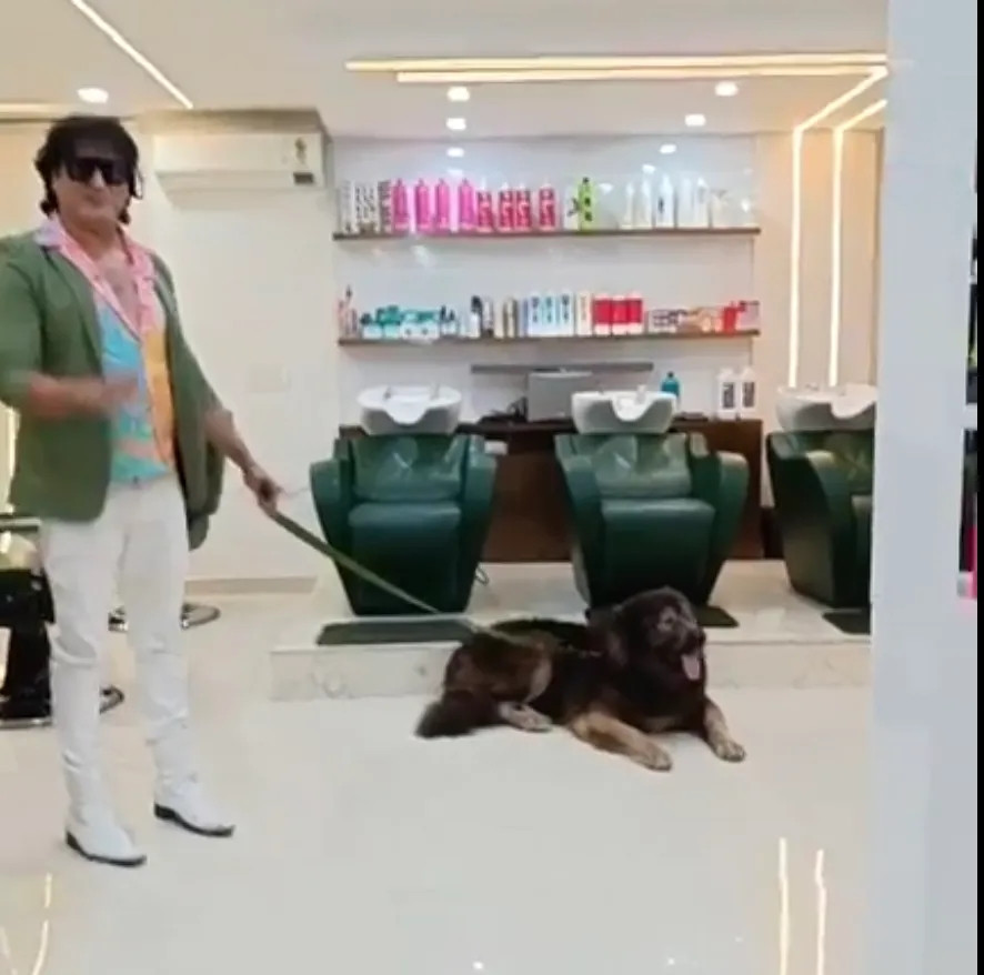 Sự xuất hiện của chú chó Okami ở Ấn Độ mang tới sự phấn khích. Một video về chú trên thảm đỏ tại buổi ra mắt phim đã đạt 3 triệu lượt xem trực tuyến. Ảnh: Nypost