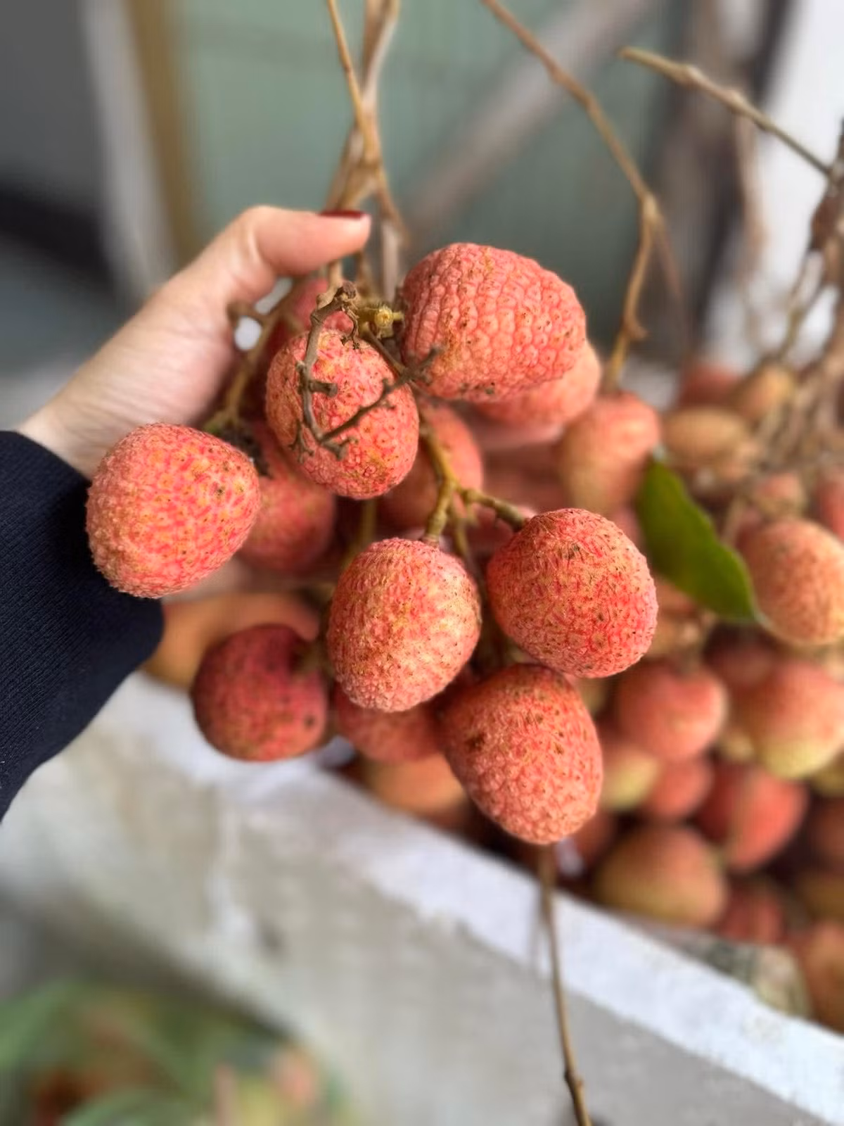 Vai u hong dau mua dat hon sau rieng van “chay hang“-Hinh-6