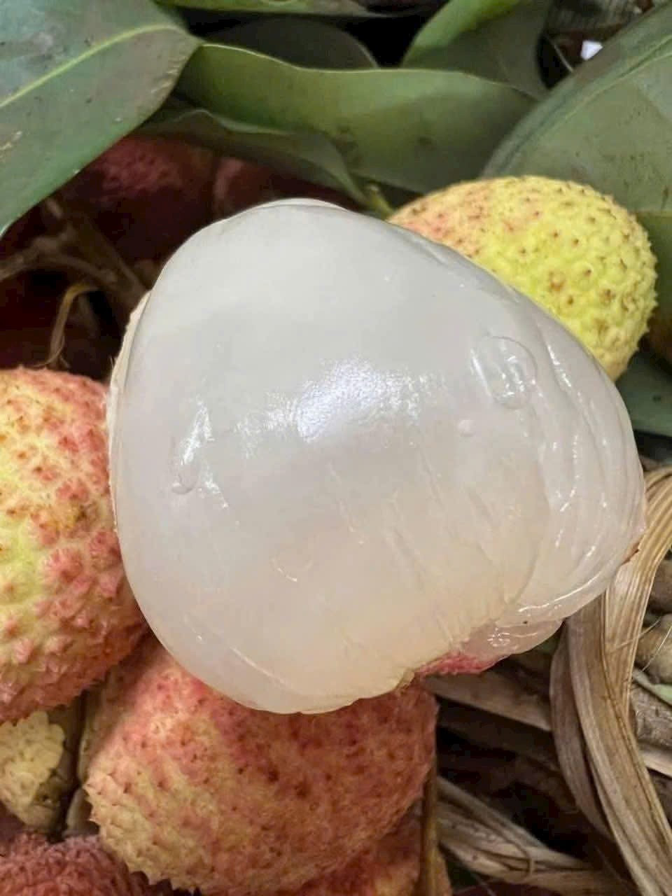 Vai u hong dau mua dat hon sau rieng van “chay hang“-Hinh-4