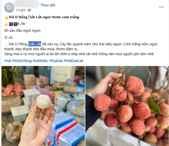 Vai u hong dau mua dat hon sau rieng van “chay hang“