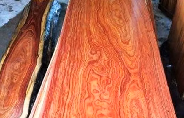 Màu sắc đặc trưng của gỗ trắc đỏ dao động từ đỏ sẫm, đỏ nâu đến nâu tím. Ảnh: Internet