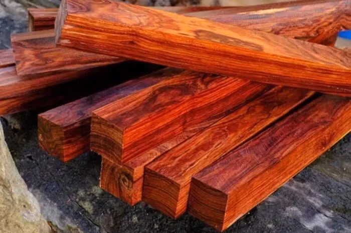 Với chất lượng tốt và nguồn cung khan hiếm, giá gỗ trắc đỏ có thể chạm mốc 500 triệu đồng/m3, tùy theo tình hình thị trường. Ảnh: NoithatHaAnh