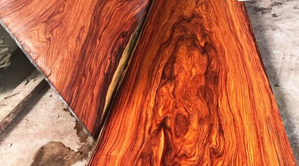 Khi mới cắt, gỗ trắc đỏ màu đỏ tươi, nhưng theo thời gian, màu sắc dần chuyển sang đỏ sẫm hoặc nâu sẫm, tạo nên vẻ đẹp sang trọng. Ảnh: Internet