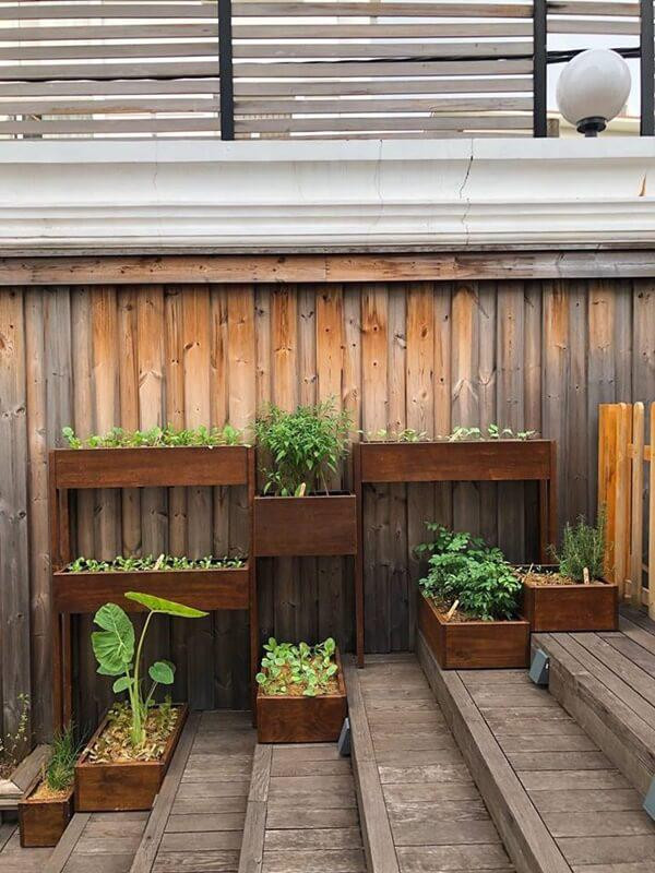 Vườn rau được Hà Tăng bày trí gọn gàng, đẹp mắt ngay cạnh lối đi. Ảnh: FB Tang Thanh Ha