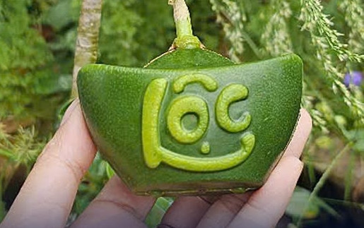 Nhờ kích thước nhỏ nhắn, dễ bày biện, bưởi thỏi vàng mini phù hợp với mâm ngũ quả ngày Tết. Ảnh: Facebook