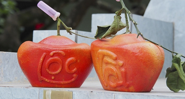 Ngoài ra, những trái bưởi đỏ Đông Cao (Mê Linh, Hà Nội) được tạo hình giá giao động khoảng 500.000 đồng/quả. Ảnh: Baotintuc