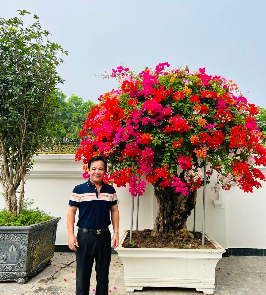 Trong sân vườn, nghệ sĩ Quang Tèo đặt nhiều chậu hoa to, rực rỡ. Ảnh: FBNV