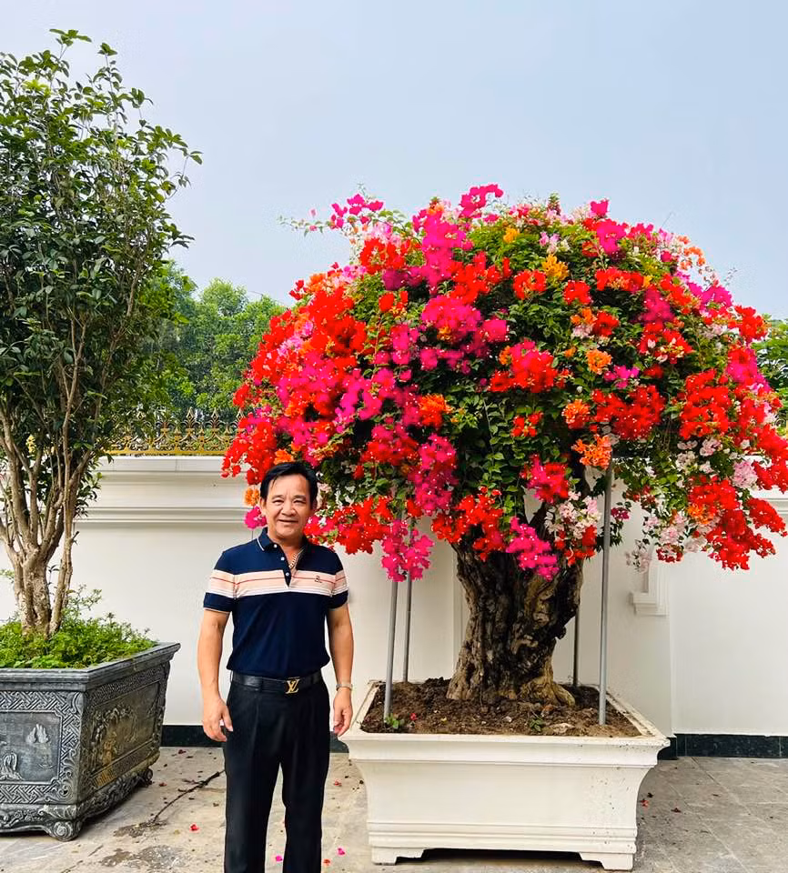 Trong sân vườn, nghệ sĩ Quang Tèo đặt nhiều chậu hoa to, rực rỡ. Ảnh: FBNV